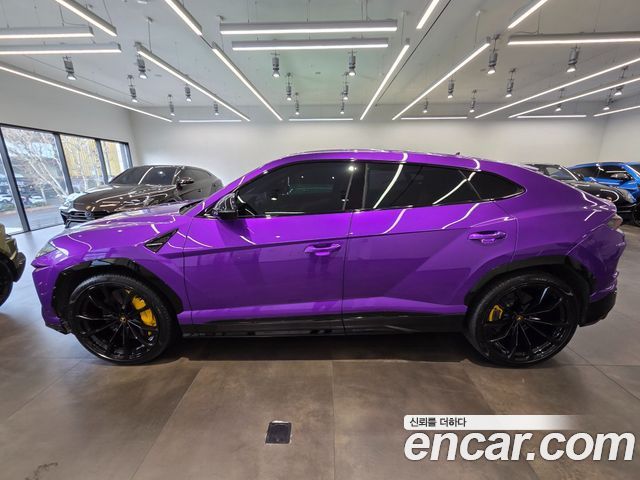 Lamborghini Urus из Кореи Encar