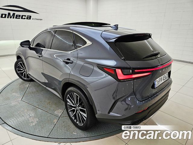 Lexus NX Luxury — пробег 38958 км