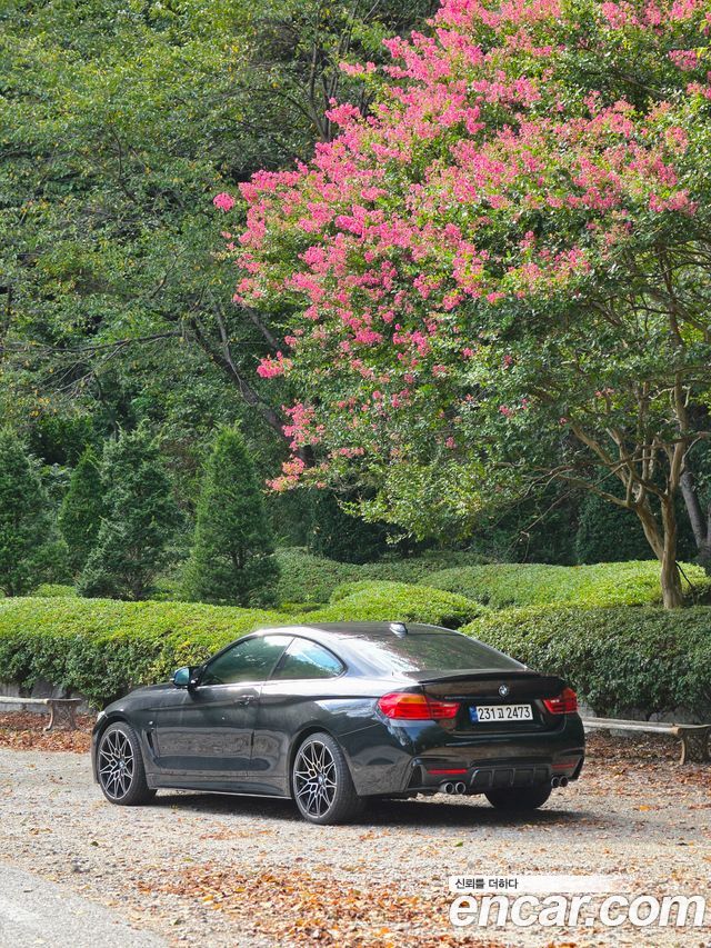 BMW 4-Series 420d xDrive M Sport Coupe — пробег 179 000 км