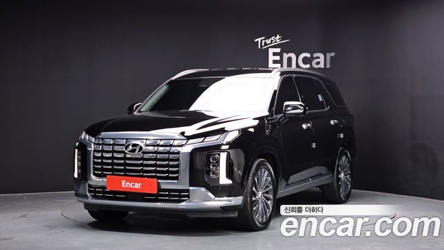 Hyundai Palisade Diesel 2.2 4WD Calligraphy — пробег 161 153 км — фото 1 из 5