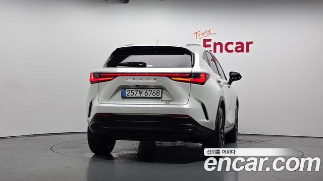 Lexus NX Premium — пробег 11 249 км — фото 4 из 5