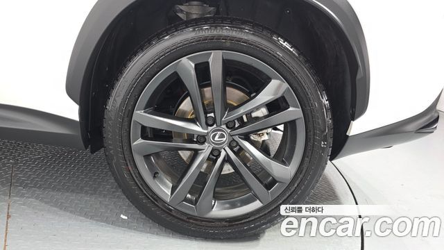 Lexus NX Premium — пробег 11 249 км — фото 5 из 5