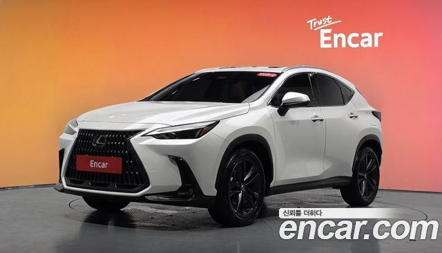 Lexus NX Premium — пробег 11 249 км — фото 1 из 5