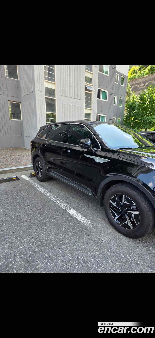Kia Sorento HEV 1.6 2WD Prestige — пробег 4830 км