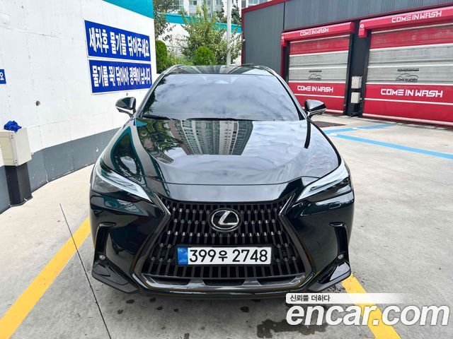 Lexus NX Luxury — пробег 3 100 км — фото 3 из 5