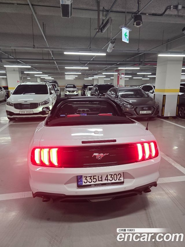 Ford Mustang из Кореи Encar