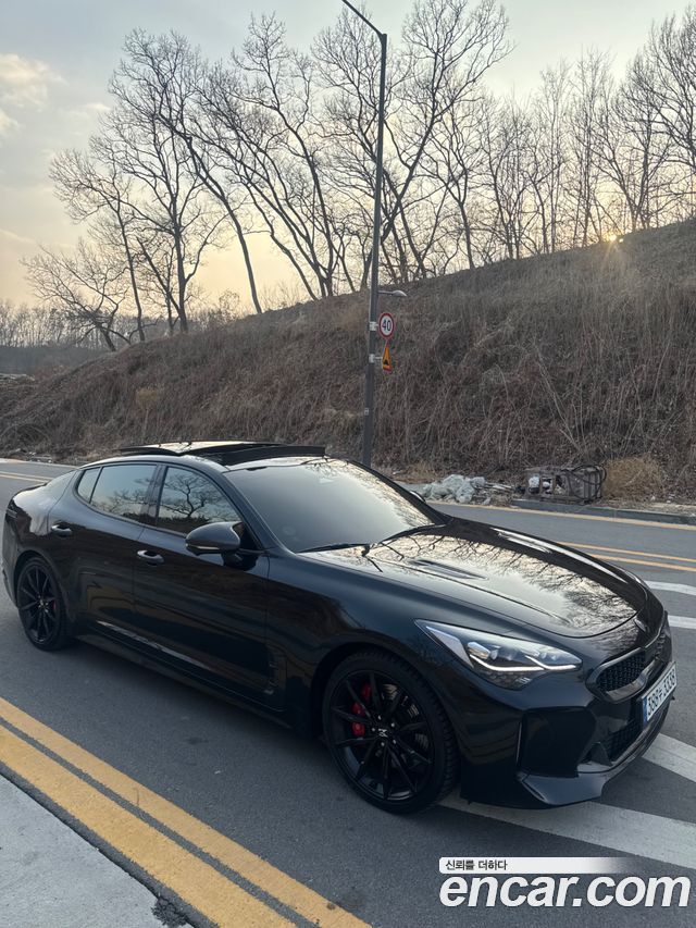 Kia Stinger из Кореи Encar