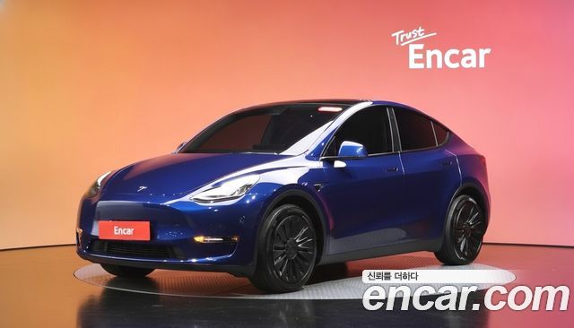 Tesla Model Y из Кореи Encar