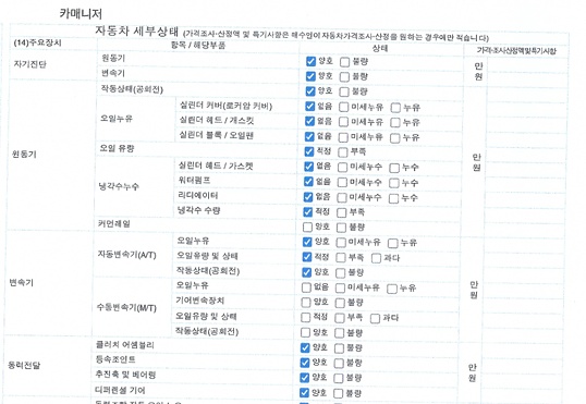 Детальное состояние автомобиля
