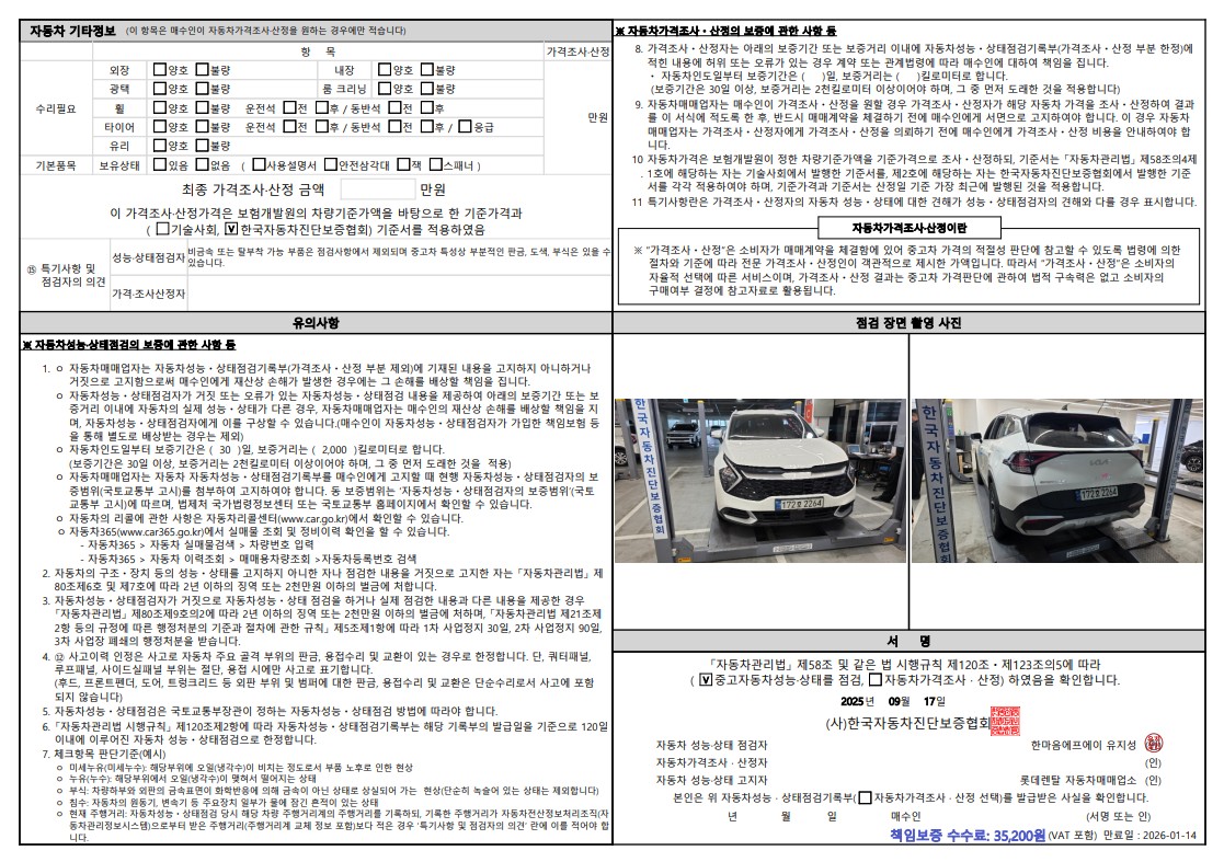 Детальное состояние автомобиля
