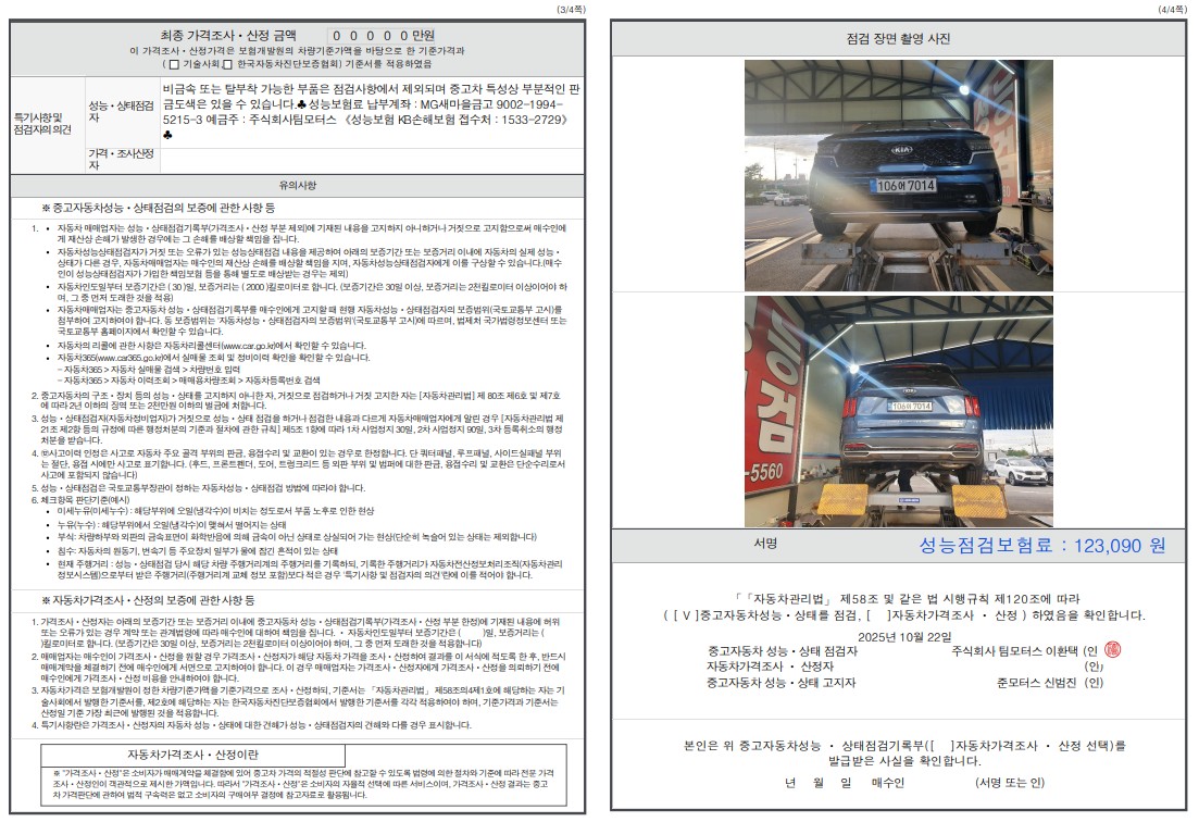 Детальное состояние автомобиля