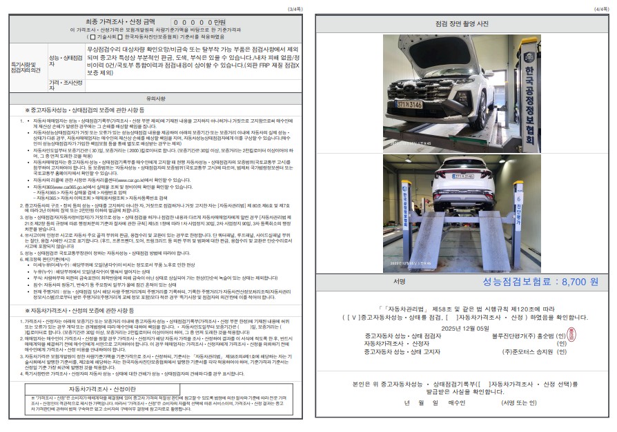 Детальное состояние автомобиля