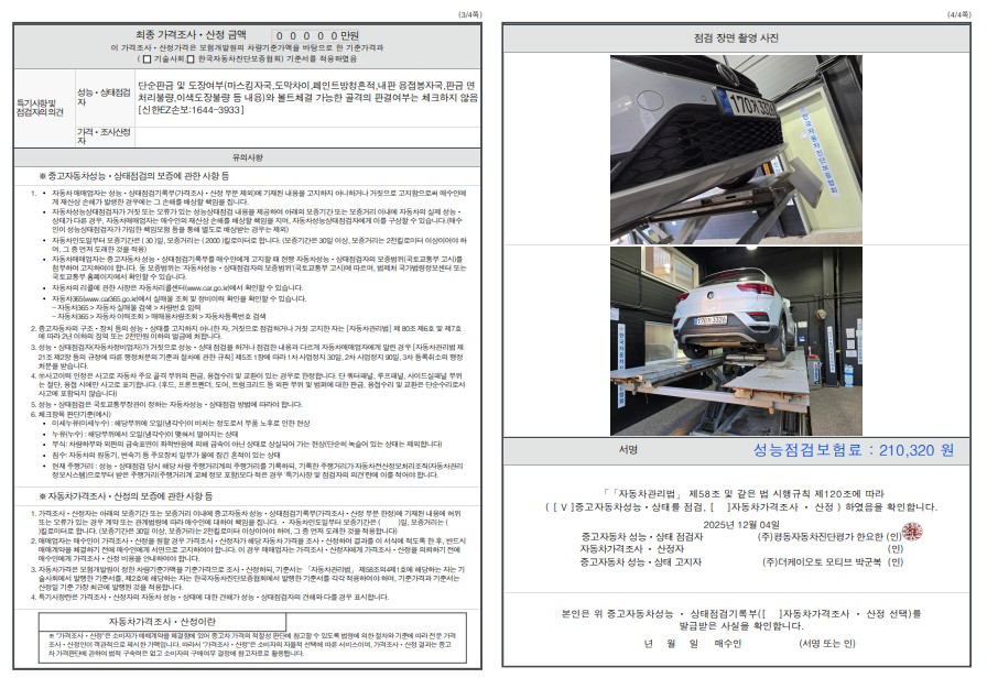 Детальное состояние автомобиля