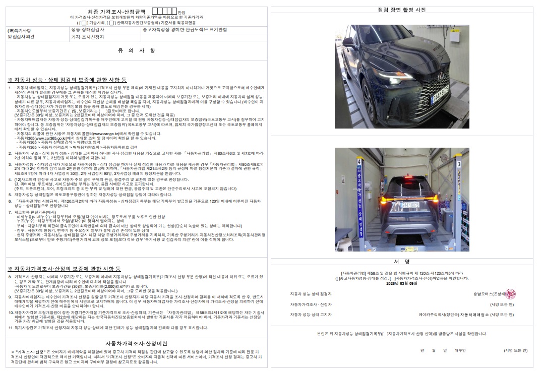 Детальное состояние автомобиля