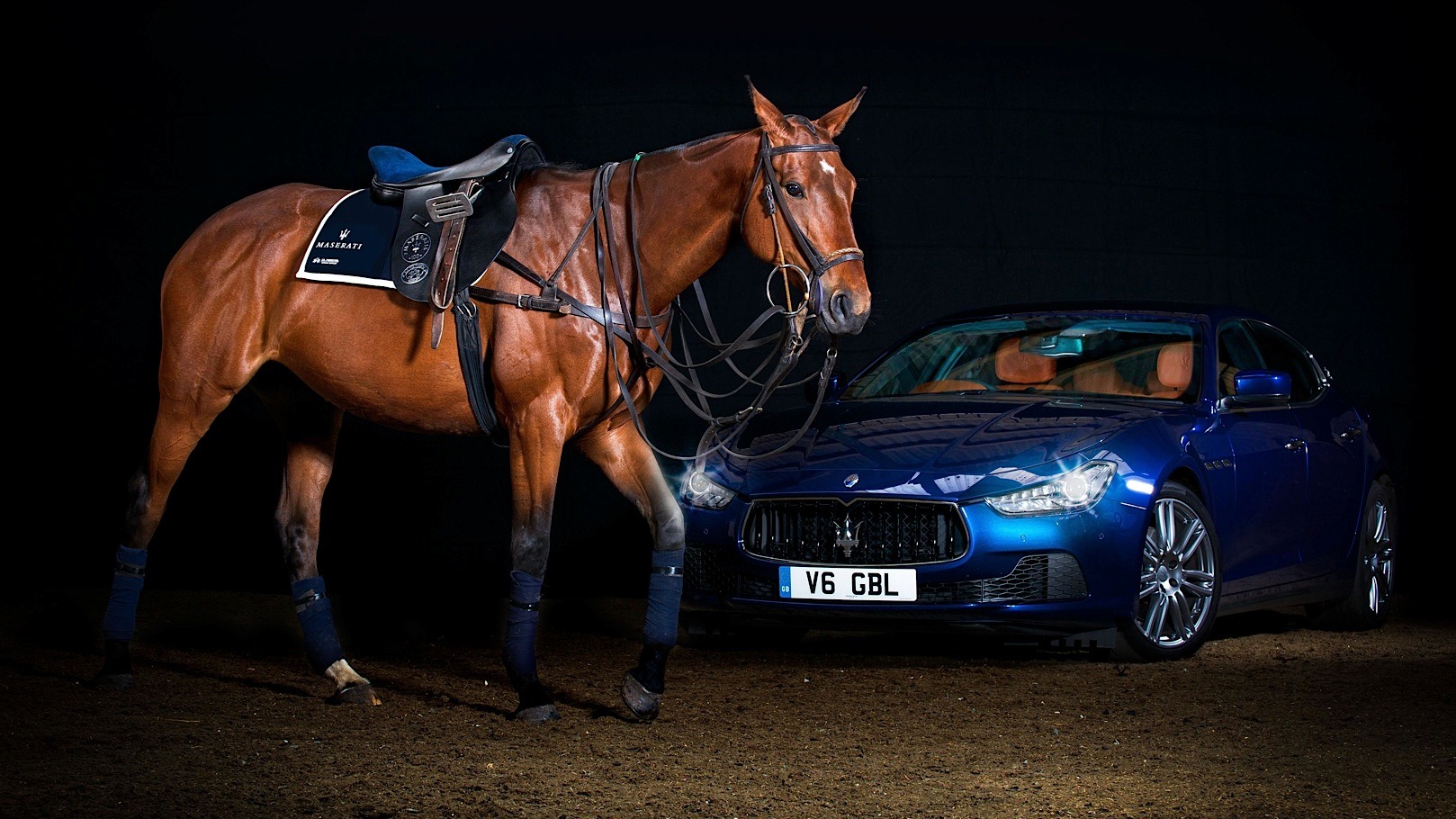 maserati car and horse Trust Encar